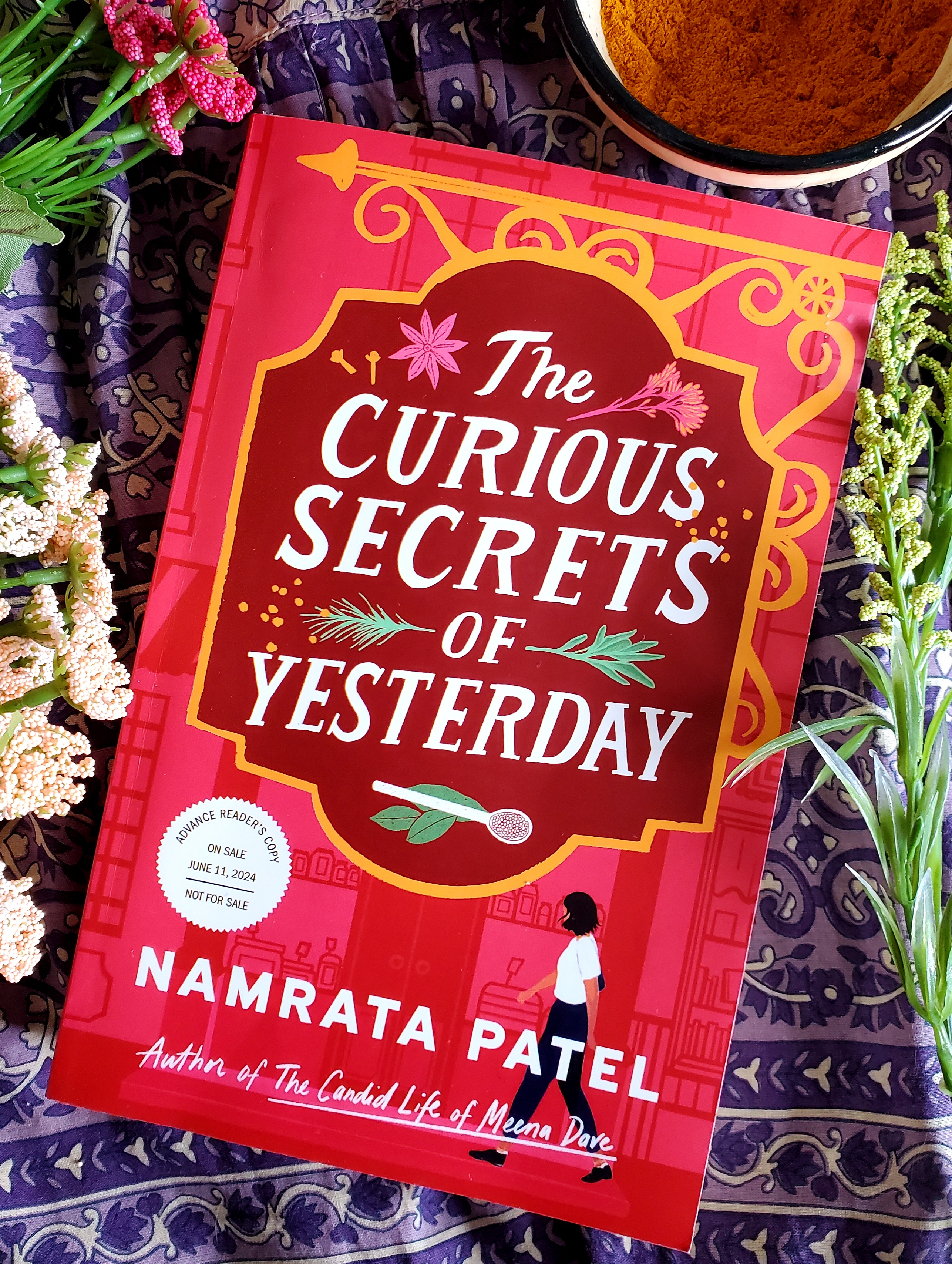 THE CURIOUS SECRETS OF YESTERDAY (DNF Book Review)