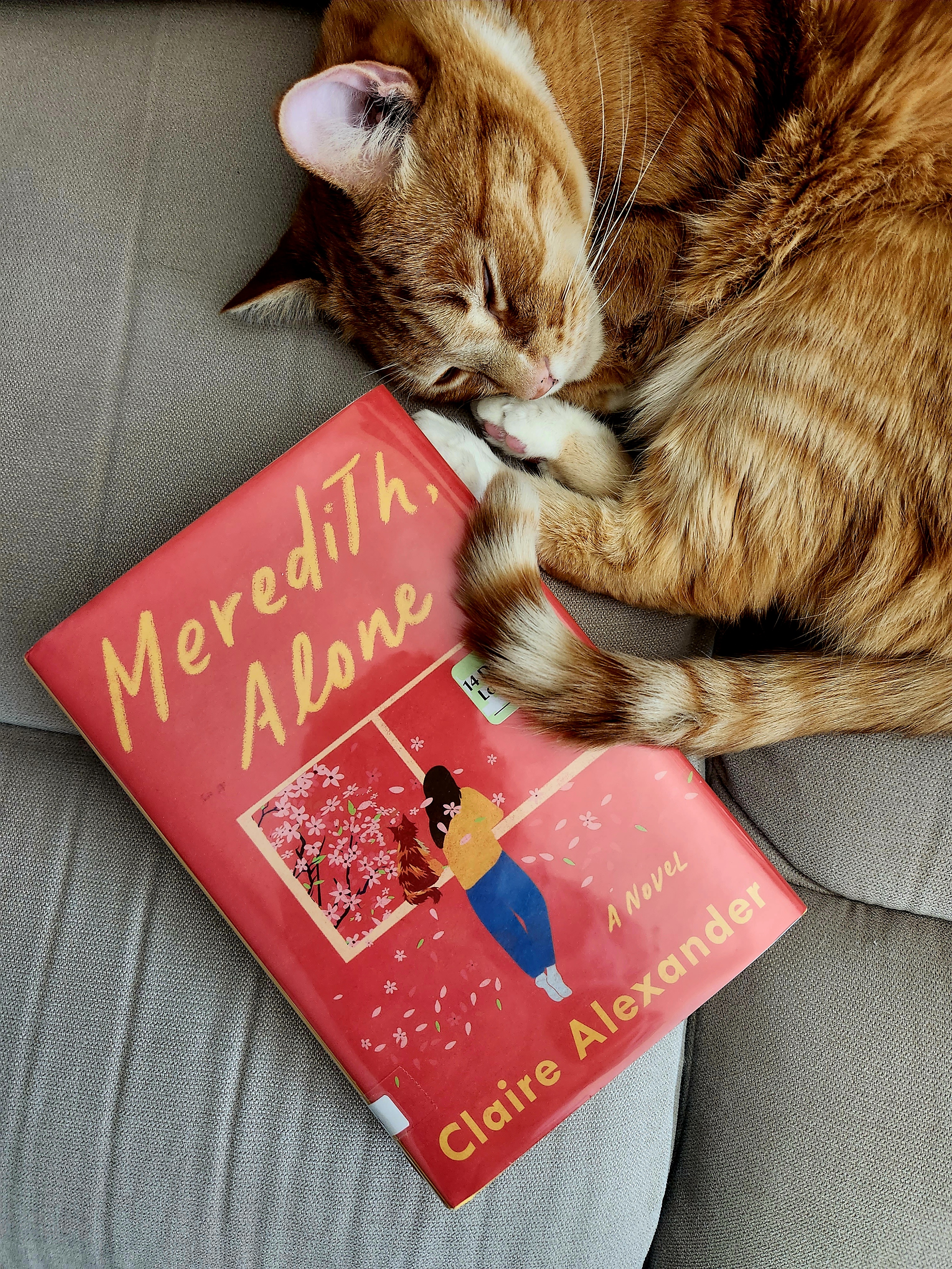 MEREDITH, ALONE Book Review