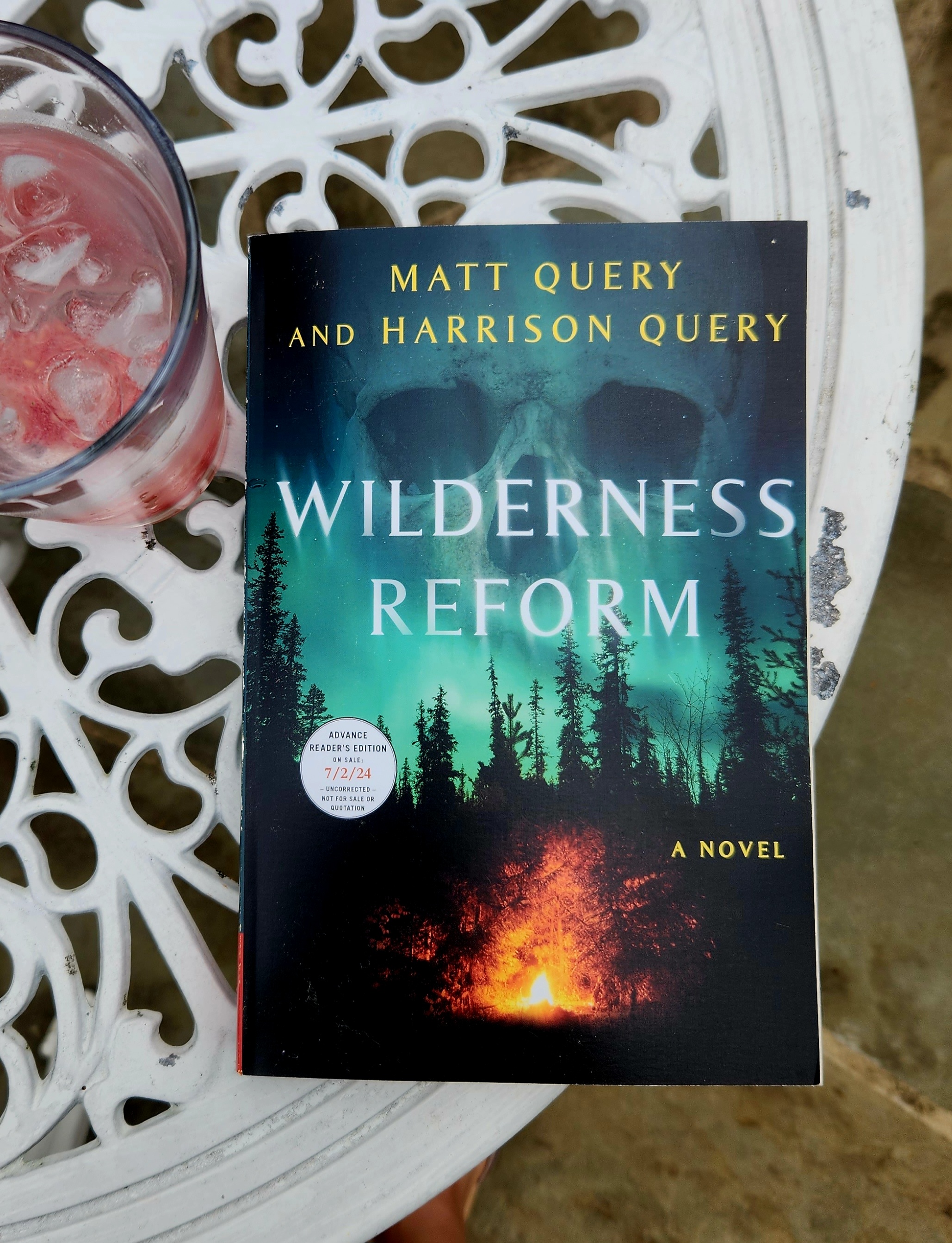 Book cover of Wilderness Reform by Matt Query and Harrison Query on a white table. Book about survival camp and wilderness program.