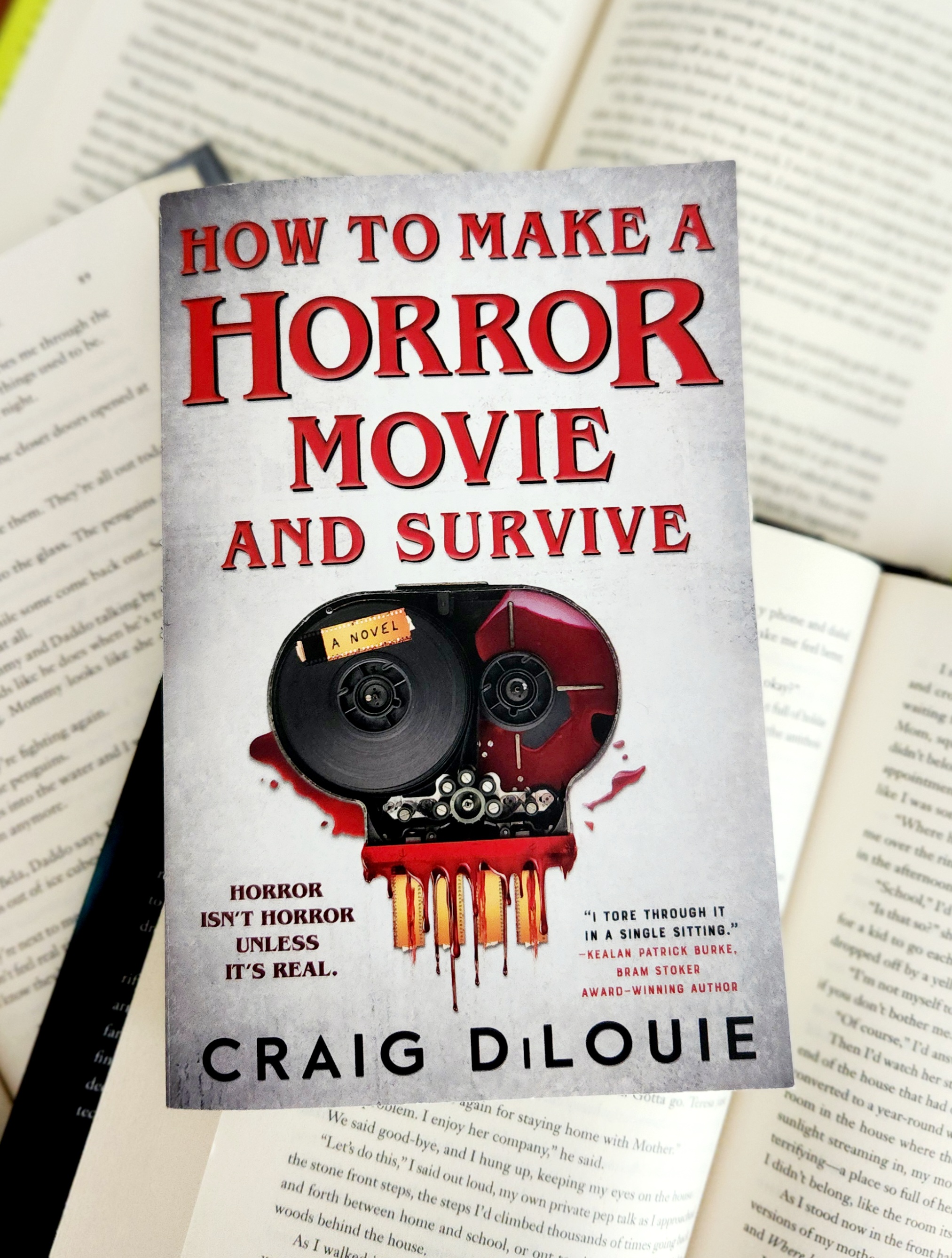 HOW TO MAKE A HORROR MOVIE AND SURVIVE (Dark Side of the Word Podcast)